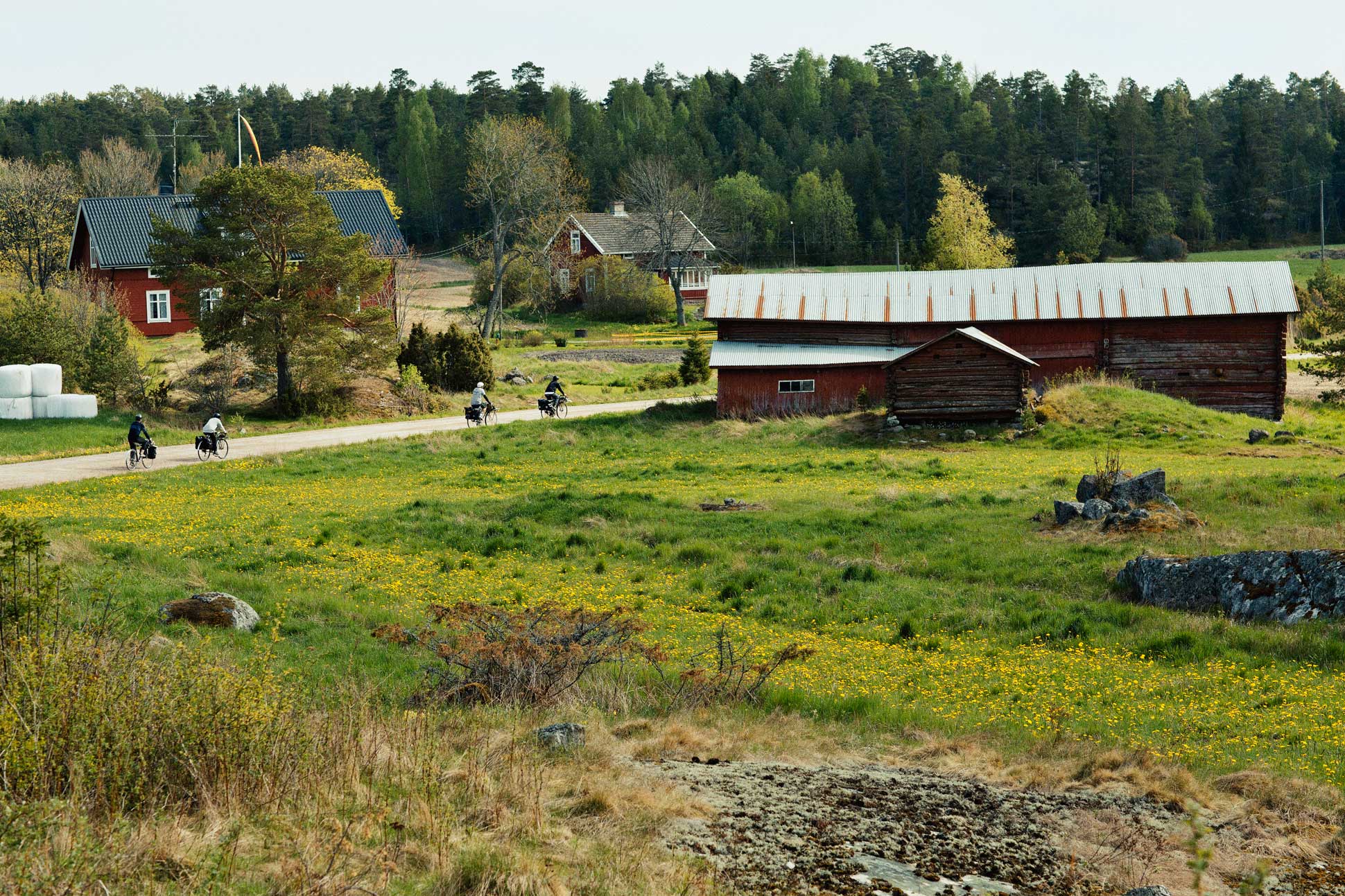 skatepelago_village